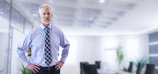 Image showing Senior businessman in his office