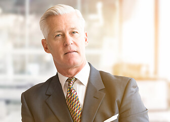 Image showing Senior businessman in his office