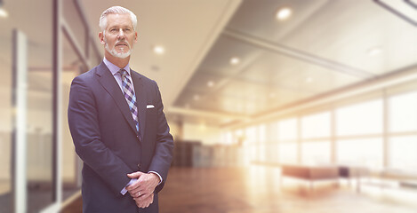 Image showing Senior businessman in his office