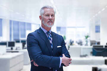 Image showing Senior businessman in his office