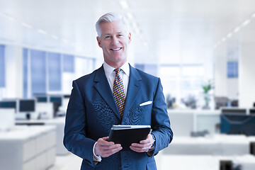 Image showing Senior businessman in his office