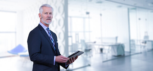 Image showing Senior businessman in his office