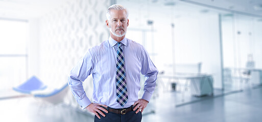 Image showing Senior businessman in his office