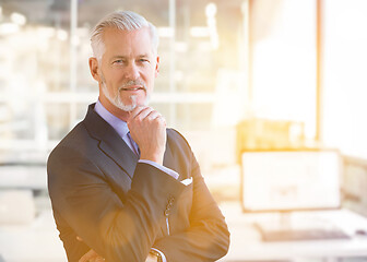 Image showing Senior businessman in his office