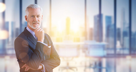 Image showing Senior businessman in his office