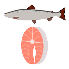 Image showing salmon fish