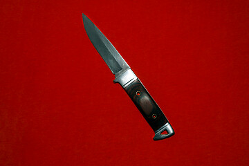 Image showing steel knife with brown handle