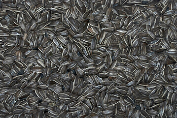 Image showing sunflower seeds