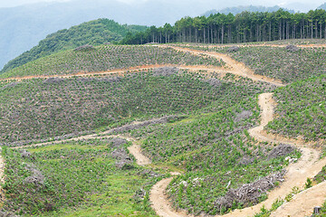 Image showing Natural landscape 