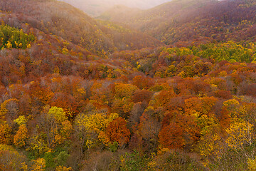 Image showing Hakkodasan in autumn season