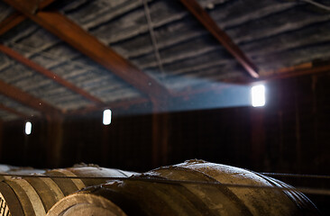 Image showing Wooden barrels at beer factory