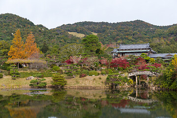 Image showing Autumn Japanese beautiful garden