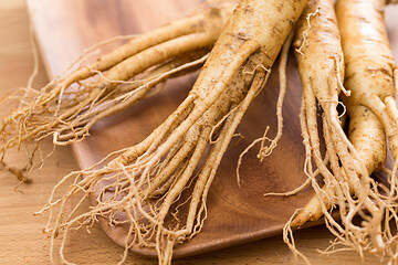 Image showing Korean ginseng root