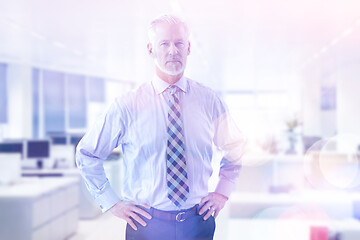 Image showing Senior businessman in his office