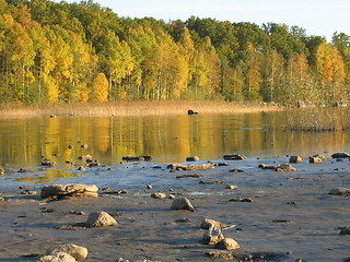 Image showing Autumn with the lake