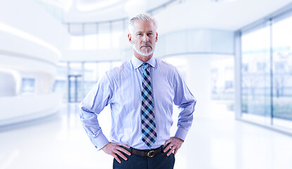 Image showing Senior businessman in his office