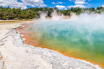 Image showing hot sparkling lake in New Zealand