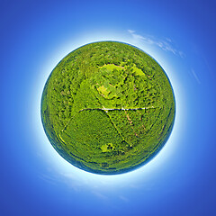 Image showing little planet forest Schoenbuch south Germany