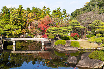 Image showing Japanese garden with red foliage