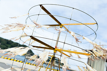 Image showing Squid Drying on the stand under sunlight