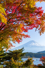 Image showing Mountain Fujisan in autumn