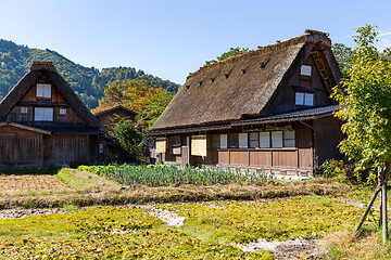 Image showing World Heritage Shirakawago 