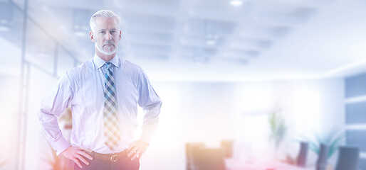 Image showing Senior businessman in his office