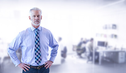 Image showing Senior businessman in his office