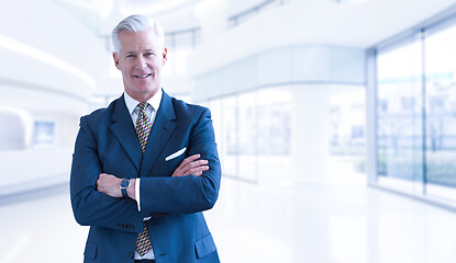 Image showing Senior businessman in his office