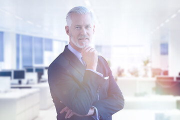 Image showing Senior businessman in his office