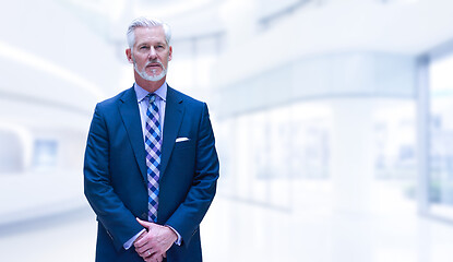 Image showing Senior businessman in his office