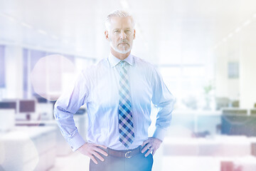 Image showing Senior businessman in his office