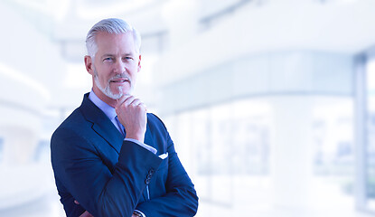 Image showing Senior businessman in his office