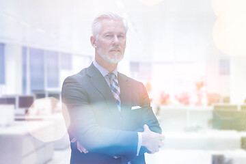 Image showing Senior businessman in his office