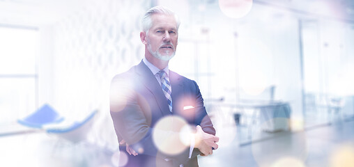 Image showing Senior businessman in his office