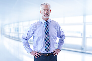 Image showing Senior businessman in his office