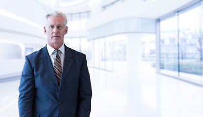 Image showing Senior businessman in his office