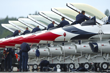 Image showing Canopies of Thunderbirds