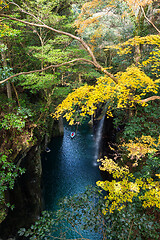 Image showing Yellow leaves in Takachiho Gorge