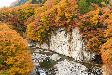 Image showing Kinugawa in Japan