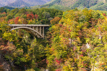 Image showing Bridge passing though Naruko Gorge