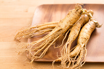 Image showing Fresh Ginseng on wooden plate