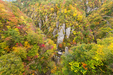 Image showing Naruko canyon with autumn foliage