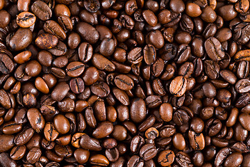 Image showing Coffee bean