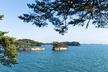 Image showing Island in Matsushima of Japan