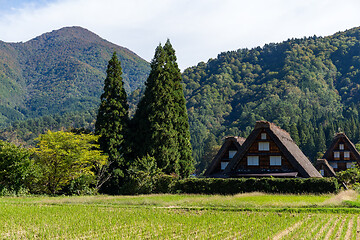 Image showing Traditional and Historical Japanese village