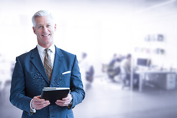 Image showing Senior businessman in his office