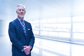 Image showing Senior businessman in his office