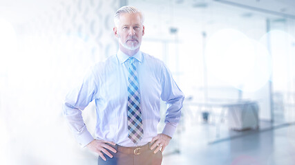 Image showing Senior businessman in his office