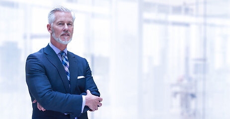 Image showing Senior businessman in his office